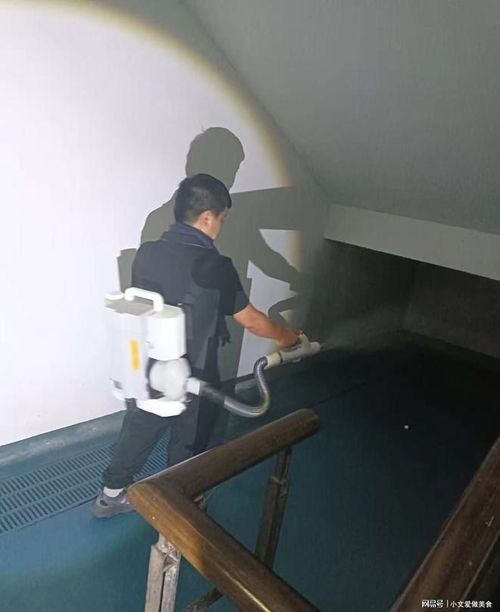 專業(yè)白蟻防治與圖文設計 杭州白蟻防治消殺中心服務指南